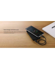 Rockrose Regular USB to Lightning Cable Μαύρο 0.3m