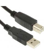 Powertech USB 2.0 Cable USB-A male - USB-B male 1.5m