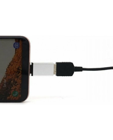 Ancus USB-C male - USB-A female Silver