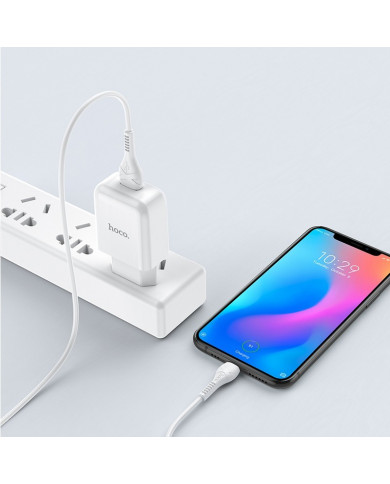 Φορτιστής  Hoco N2 Vigour με USB 5V 2.0A και Καλώδιο USB σε USB-C 3.0A 1μ Λευκό