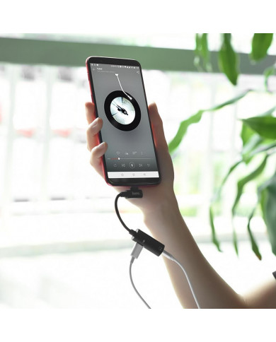 Αντάπτορας Hoco LS19 2 σε 1 USB-C σε USB-C Θηλυκό και 3.5 mm 1.5A Θηλυκό Μαύρο