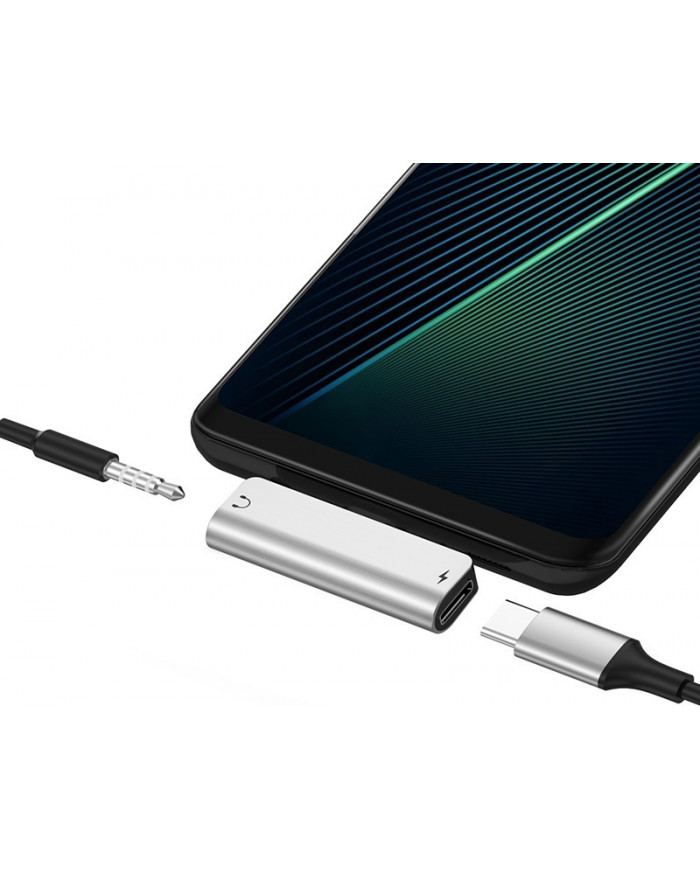 Hoco USB-C male - 3.5mm / USB-C female (LS26)