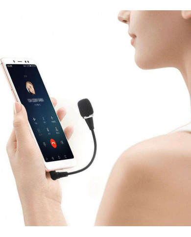 Powertech  Μικρόφωνο Υπολογιστή με Καρφί 3.5mm